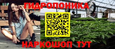 сатива Краснодар