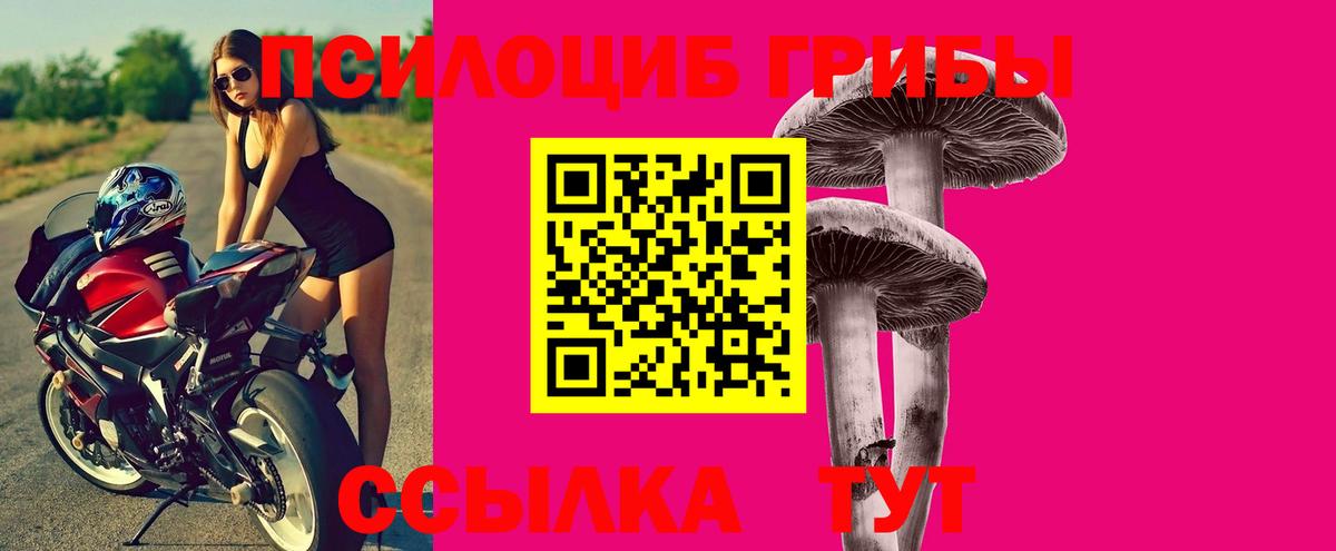Россия  Галлюциногенные грибы Psilocybe  Псилоцибиновые грибы MAGIC MUSHROOMS  Вход с VPN 